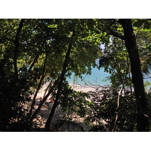 Photo Costa Rica Parc Manuel Antonio 2015-03 236