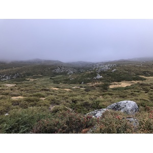 Photo France Corse Alta Rocca 2017-09 3