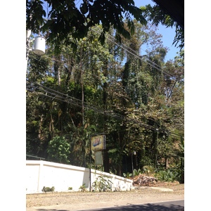 Photo Costa Rica Parc Manuel Antonio 2015-03 2