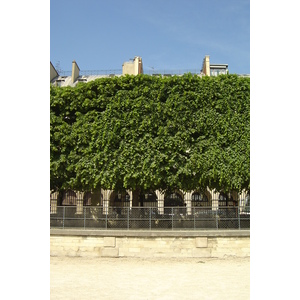 Photo France Paris Jardin des Tuileries 2007-05 17