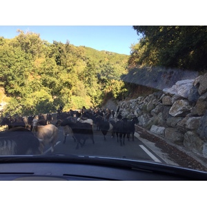 Photo France Corse Felce 2017-09 7
