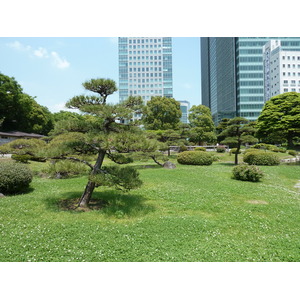 Photo Japon Tokyo Jardins Kyu Shiba rikyu 2010-06 18