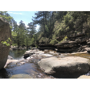 Photo France Corse Forêt d'Aïtone 2021-06 8
