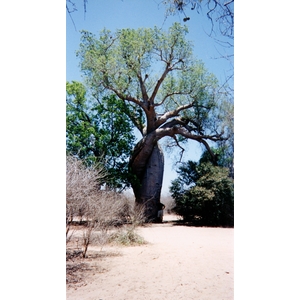 Photo Madagascar Tsingy 1999-10 10