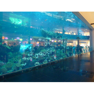 Photo Émirats arabes unis Dubai Dubai Mall 2009-12 5