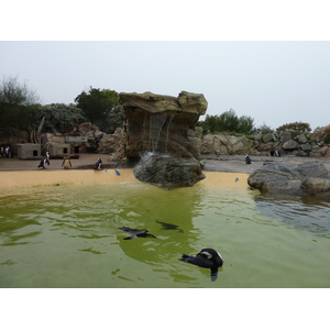 Photo France Le Croisic Ocearium 2009-10 5