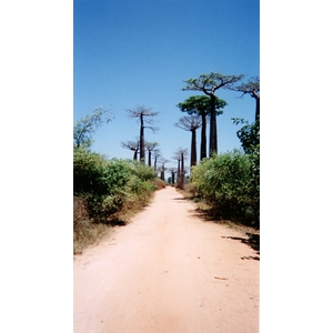 Photo Madagascar Morondava 1999-10 18