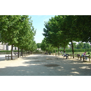 Photo France Paris Jardin des Tuileries 2007-05 19