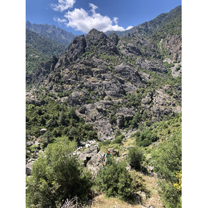 Photo France Corse Forêt d'Aïtone 2021-06 60