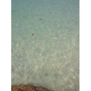 Photo Costa Rica Parc Manuel Antonio 2015-03 199