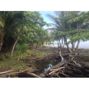 Photo Costa Rica Dominical 2015-03 98