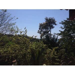 Photo Costa Rica Parc Manuel Antonio 2015-03 468