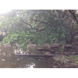 Photo Costa Rica Dominical 2015-03 74