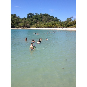 Photo Costa Rica Parc Manuel Antonio 2015-03 354