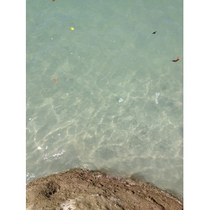 Photo Costa Rica Parc Manuel Antonio 2015-03 360