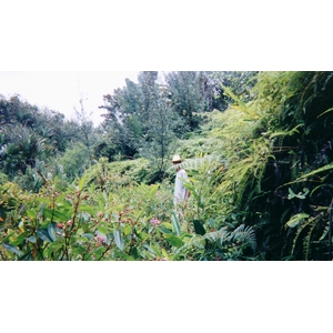 Photo Madagascar 1999-10 25
