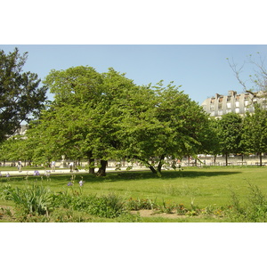 Photo France Paris Jardin des Tuileries 2007-05 158