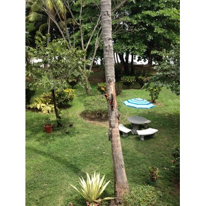 Photo Costa Rica Montezuma 2015-03 53