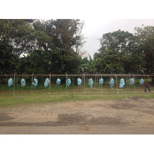 Photo Costa Rica Côte caraïbe 2015-03 13