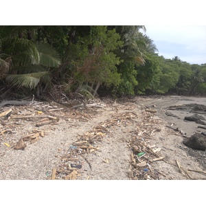 Photo Costa Rica Montezuma 2015-03 332