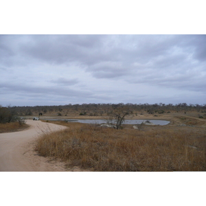 Photo Afrique du Sud Parc National Kruger 2008-09 75