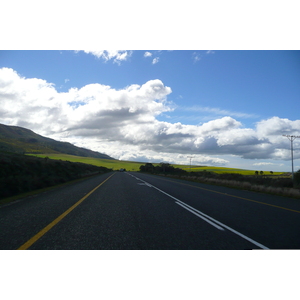 Photo Afrique du Sud Route de Harmanus à Knysna 2008-09 74