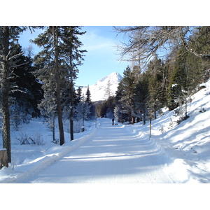 Photo Suisse Saint Moritz Schlarigna 2007-01 91