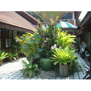 Photo Thaïlande Pattaya 2eme rue 2008-01 38