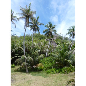 Photo Seychelles Grande Soeur 2011-10 5