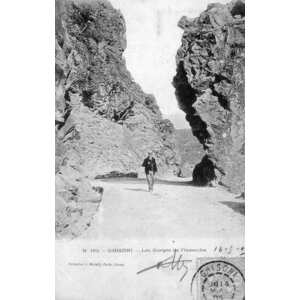 Photo France Corse Cartes postales anciennes 1900-01 206