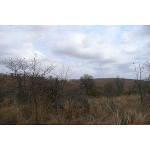 Photo Afrique du Sud Parc National Kruger 2008-09 153
