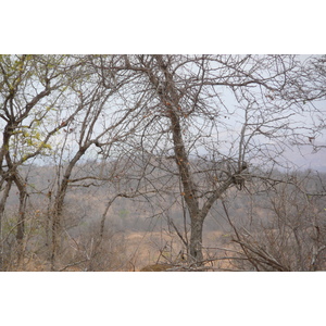 Photo Afrique du Sud Parc National Kruger 2008-09 35