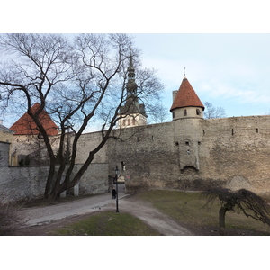 Photo Estonie Tallinn Centre historique de Tallinn 2009-04 25