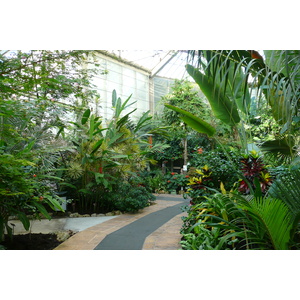 Photo France Nice Parc Phoenix 2007-10 54