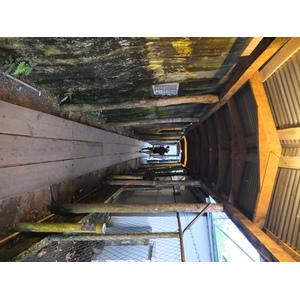 Photo Panama Bocas del toro 2015-03 28