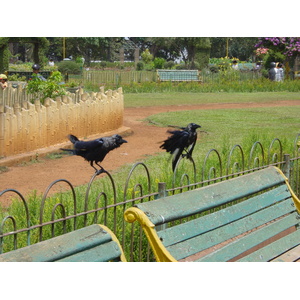 Photo Inde Bombay 2003-05 56