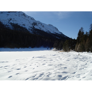 Photo Suisse Saint Moritz Schlarigna 2007-01 8