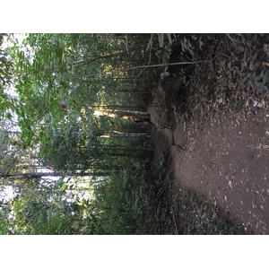 Photo Thaïlande Parc National Phu Hin Rong Kla 2014-12 14