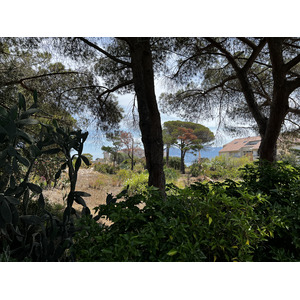Photo France Corse Calvi 2023-06 32