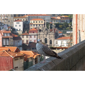 Photo Portugal Porto 2013-01 113