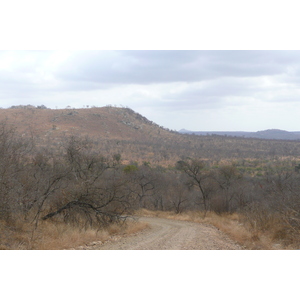 Photo Afrique du Sud Parc National Kruger 2008-09 45