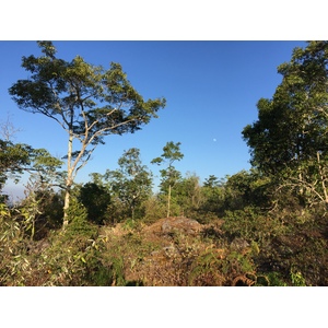 Photo Thaïlande Parc National Phu Hin Rong Kla 2014-12 315