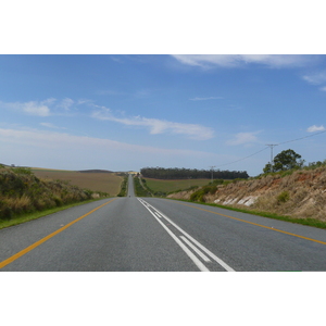 Photo Afrique du Sud Route de Harmanus à Knysna 2008-09 103