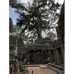 Photo Cambodge Siem Reap Ta Prohm 2023-01 23