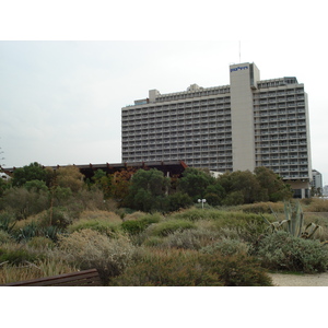 Photo Israel Tel Aviv Tel Aviv bord de mer 2006-12 74