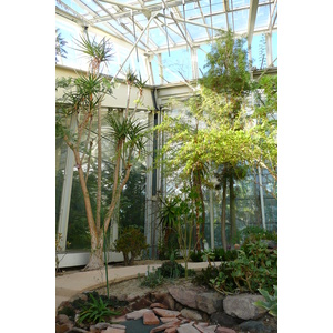 Photo France Nice Parc Phoenix 2007-10 2
