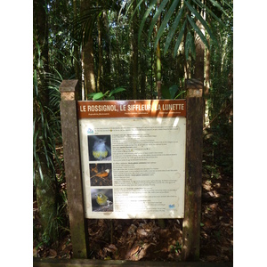 Photo Nouvelle-Calédonie Parc de la Rivière Bleue Le Grand Kaori 2010-05 7