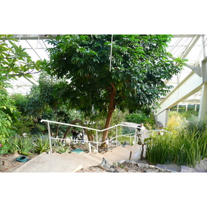 Photo France Nice Parc Phoenix 2007-10 6
