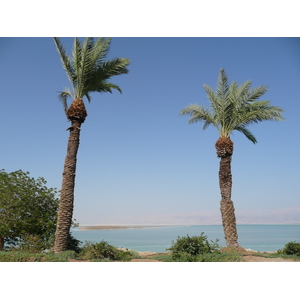 Photo Israel Boqeq 2007-06 186