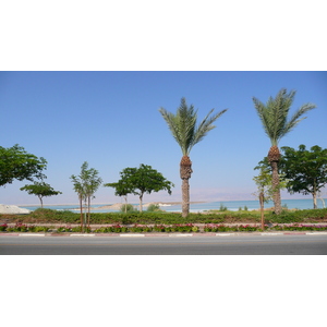 Photo Israel Boqeq 2007-06 0